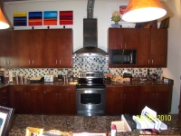 kitchen-cabinets-tampa-033